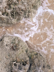 Coastal rocks and sea water as a natural background.