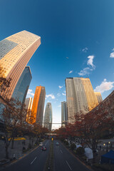 【魚眼】2024年　秋　大都会高層ビルと街並みの夕方　摩天楼の風景【紅葉】