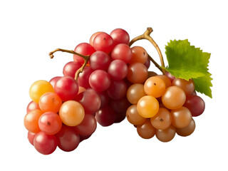 Pile of grapes varieties. Fresh grapes on PNG transparent background. Grapes fruit 