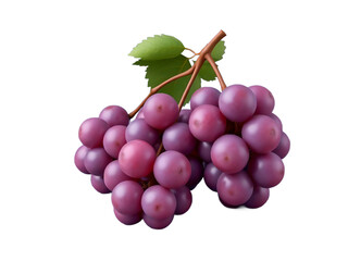 Fototapeta premium Pile of grapes varieties. Fresh grapes on PNG transparent background. Grapes fruit 
