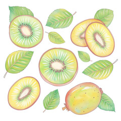 Fototapeta premium Hand-Drawn Kiwi Slices with Green Leaves on white and transparent background. PNG