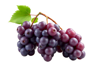 Fototapeta premium Pile of grapes varieties. Fresh grapes on PNG transparent background. Grapes fruit 