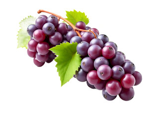 Fototapeta premium Pile of grapes varieties. Fresh grapes on PNG transparent background. Grapes fruit 