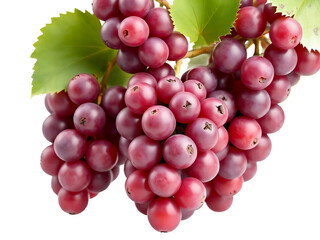 Pile of grapes varieties. Fresh grapes on PNG transparent background. Grapes fruit 