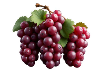 Pile of grapes varieties. Fresh grapes on PNG transparent background. Grapes fruit 