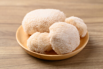 Lion's Mane mushroom or Yamabushitake mushroom