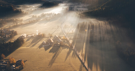 Sunrise with trees casting long shadows