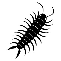 Centipede Silhouette vector illustration