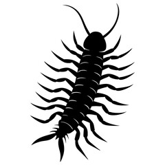Centipede Silhouette vector illustration