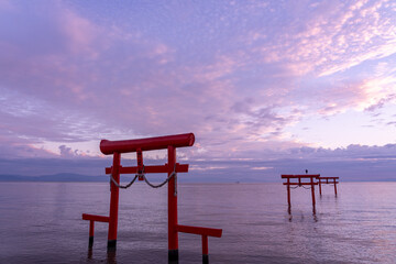 佐賀県太良町　秋の有明海の浅瀬に立つ朝の海中鳥居