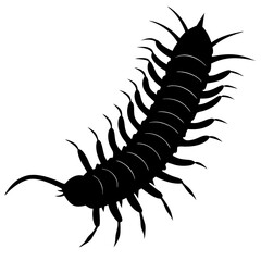 Centipede Silhouette vector illustration