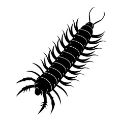 Centipede Silhouette vector illustration