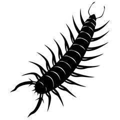 Centipede Silhouette vector illustration