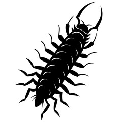 Centipede Silhouette vector illustration