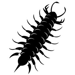 Centipede Silhouette vector illustration