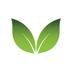 Green Leaf Logo Grapich Images 