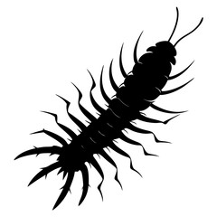 Centipede Silhouette vector illustration