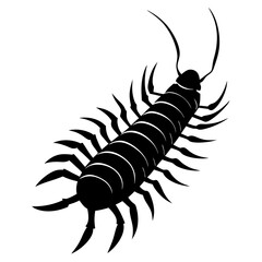 Centipede Silhouette vector illustration
