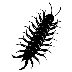 Centipede Silhouette vector illustration