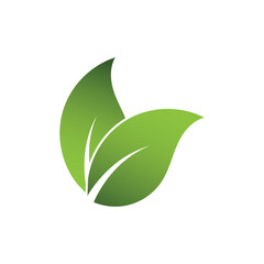 Green Leaf Logo Grapich Images 
