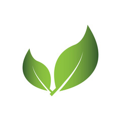 Green Leaf Logo Grapich Images 