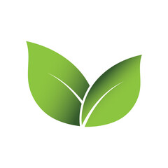 Green Leaf Logo Grapich Images 