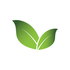Green Leaf Logo Grapich Images 