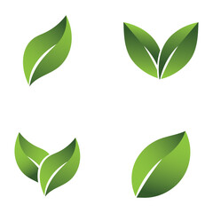 Green Leaf Set Logo Grapich Images