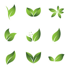 Green Leaf Set Logo Grapich Images