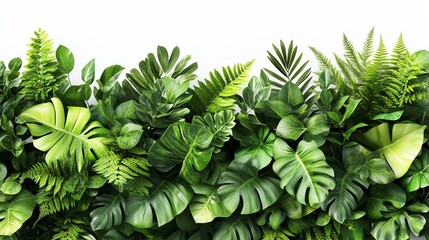 Vibrant green foliage with various leaf shapes.