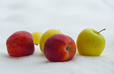 apples scattered on white snow