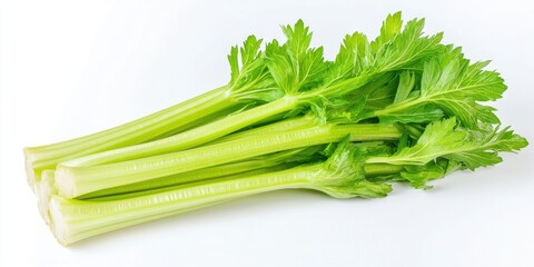 Fresh celery displayed in isolation against a clean white background, highlighting the vibrant color and texture of celery while emphasizing its natural appeal and freshness as a culinary ingredient.