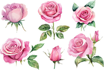 seamless pattern with pink roses