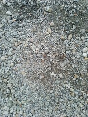 soil media with a sprinkling of gravel