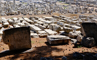 ancient ruins in Ephesus, Turkey