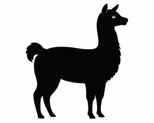 silhouette of Alpaca vector on white background 