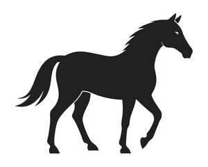 silhouette of black Horse vector on white background.