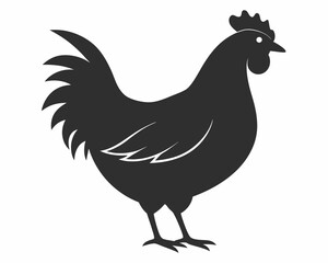 silhouette of Chicken vector on white background
