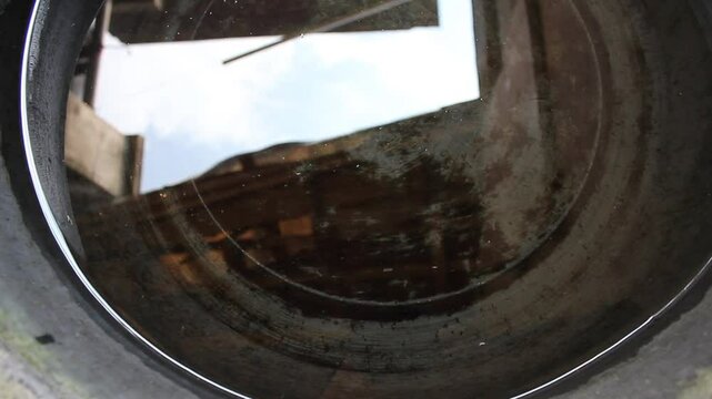 a used bucket full of moss filled with clear water