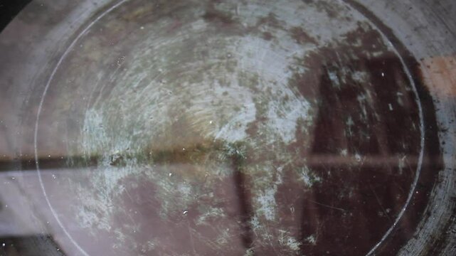 a used bucket full of moss filled with clear water