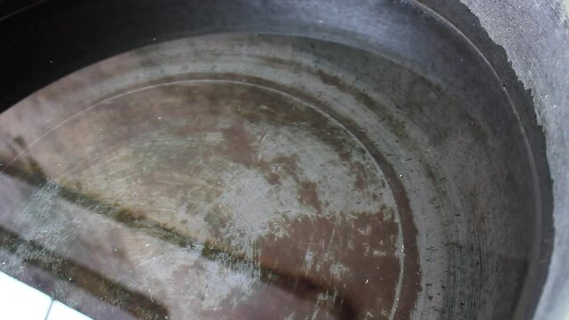 a used bucket full of moss filled with clear water