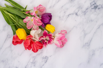 Assorted tulips and fringed pink flowers on marble background.