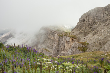 view of the Seceda area in the Italian Dolomites