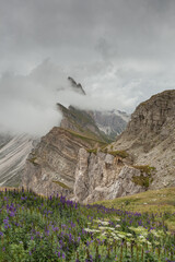 view of the Seceda area in the Italian Dolomites