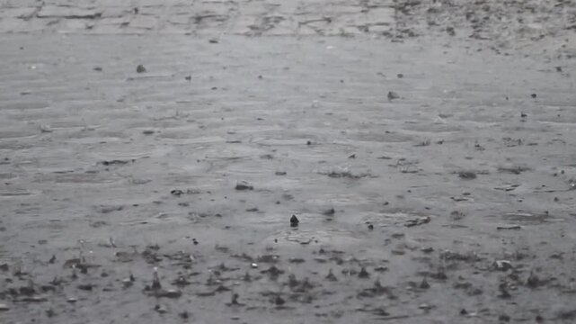 heavy rain that wets the paving in front of the house