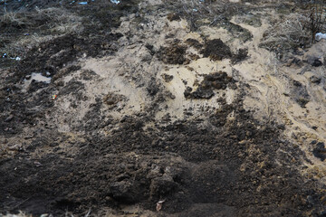 Muddy Soil Surface with Organic Debris in Natural Outdoor Environment