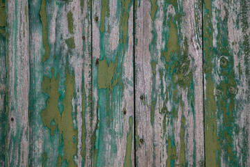 green line wall wooden background old planks facade door wood texture