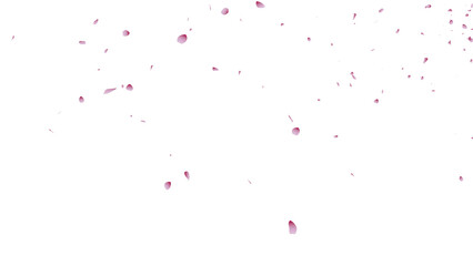 桜吹雪：桜の花びらイラスト