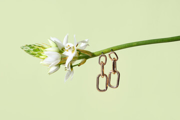 Beautiful flower with stylish earrings on green background