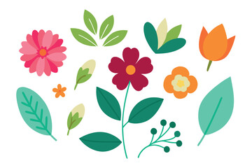  Botanic set of leaves and flower vector illustration.